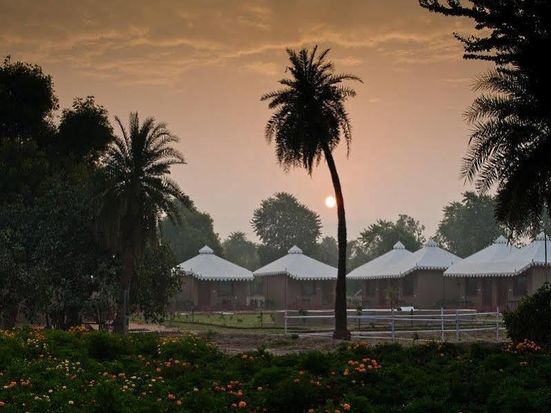 Lohana Village Resort Pushkar Buitenkant foto